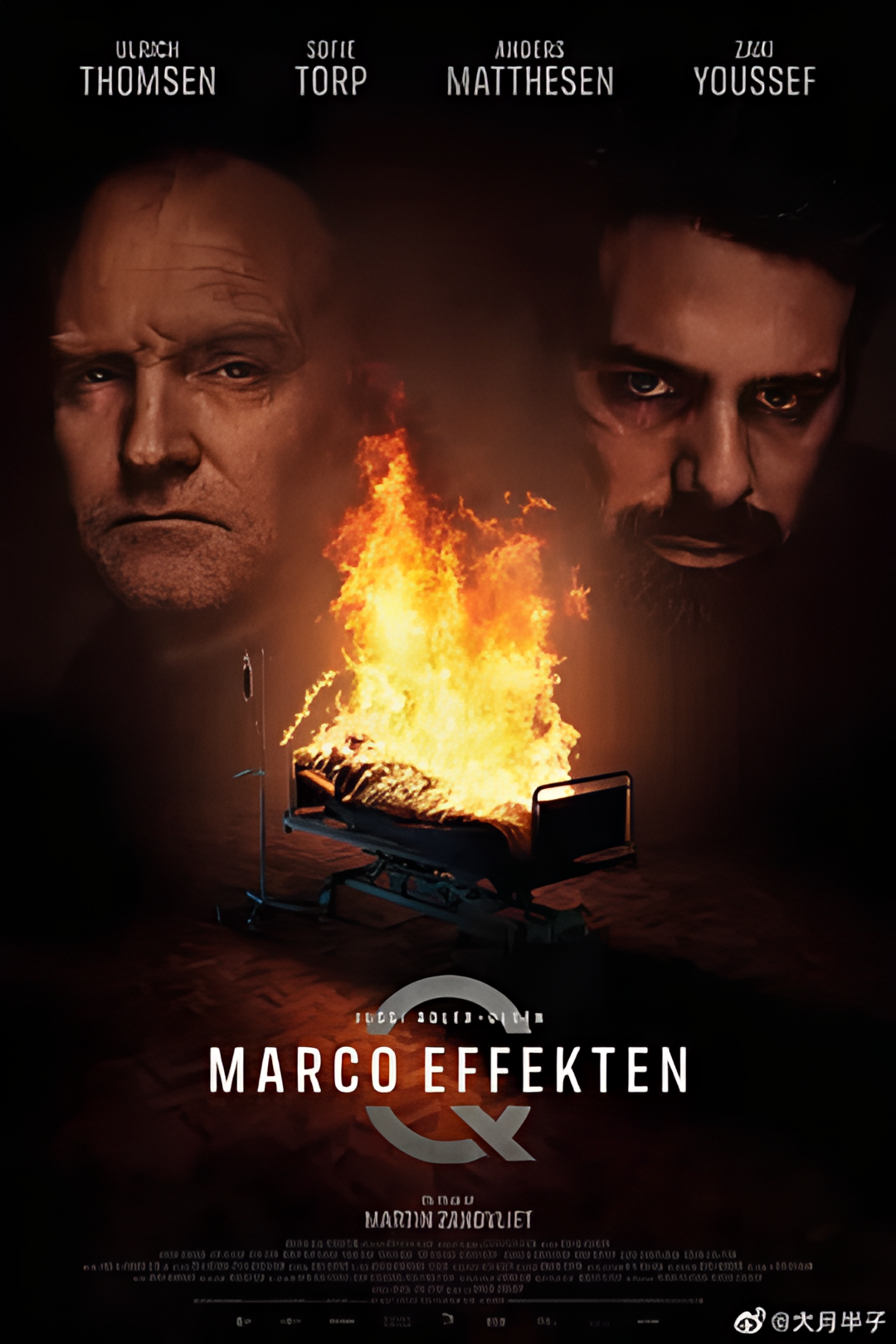 悬案密码5：马可效应