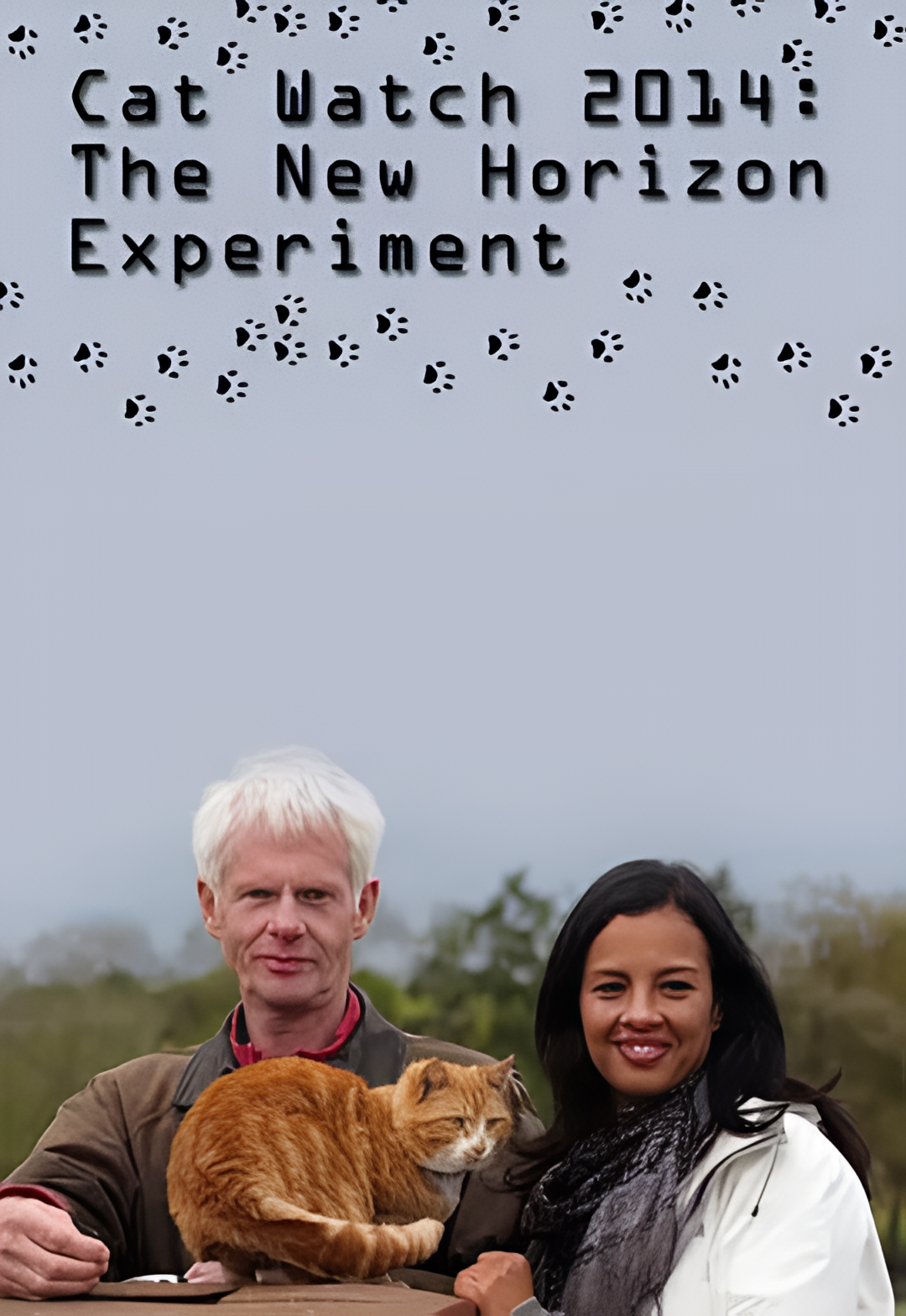 地平线系列：猫咪观察
